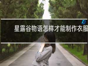 星露谷物语怎样才能制作衣服