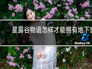 星露谷物语怎样才能拥有地下室