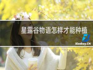 星露谷物语怎样才能种植