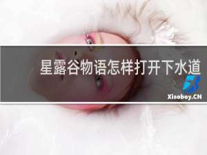 星露谷物语怎样打开下水道