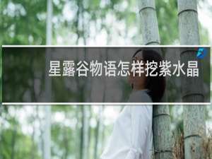 星露谷物语怎样挖紫水晶