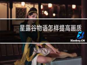 星露谷物语怎样提高画质