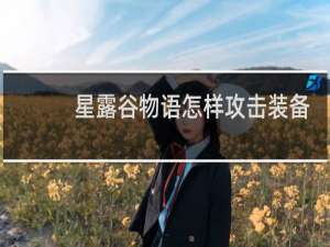 星露谷物语怎样攻击装备
