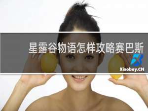 星露谷物语怎样攻略赛巴斯