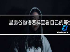 星露谷物语怎样查看自己的等级