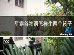 星露谷物语怎样生两个孩子