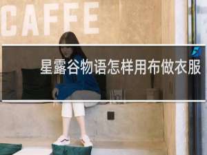 星露谷物语怎样用布做衣服