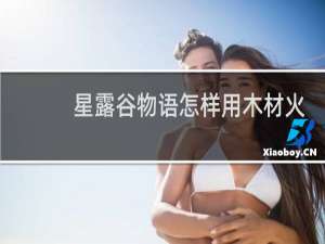 星露谷物语怎样用木材火