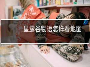 星露谷物语怎样看地图