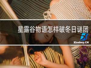 星露谷物语怎样破冬日谜团