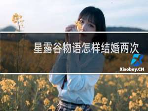 星露谷物语怎样结婚两次