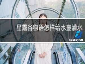 星露谷物语怎样给水壶灌水