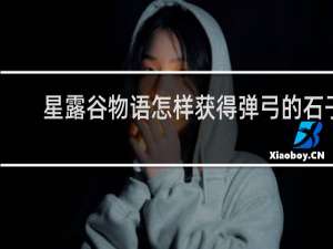 星露谷物语怎样获得弹弓的石子