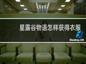 星露谷物语怎样获得衣服