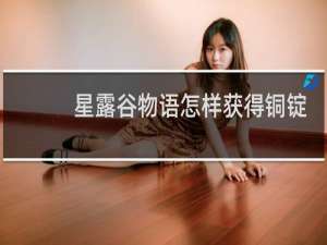 星露谷物语怎样获得铜锭