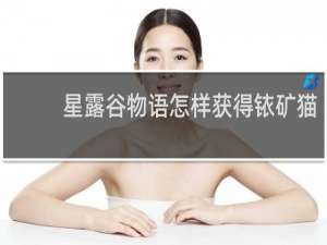 星露谷物语怎样获得铱矿猫