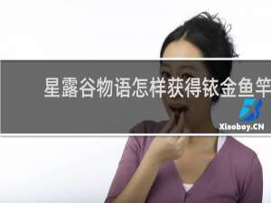 星露谷物语怎样获得铱金鱼竿