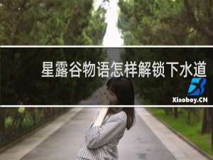 星露谷物语怎样解锁下水道