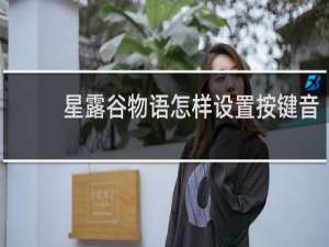 星露谷物语怎样设置按键音