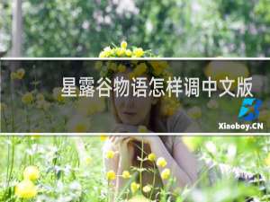 星露谷物语怎样调中文版