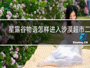 星露谷物语怎样进入沙漠超市二楼