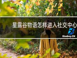 星露谷物语怎样进入社交中心