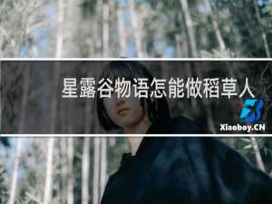 星露谷物语怎能做稻草人