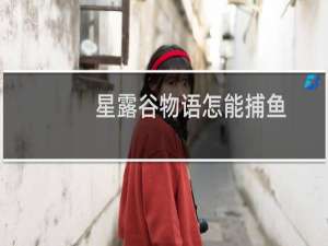 星露谷物语怎能捕鱼