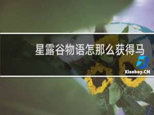 星露谷物语怎那么获得马