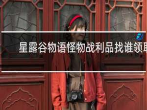 星露谷物语怪物战利品找谁领取