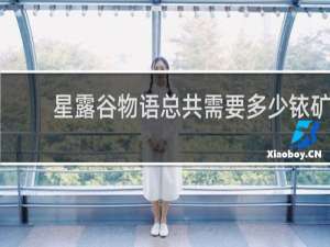 星露谷物语总共需要多少铱矿