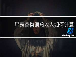 星露谷物语总收入如何计算