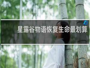 星露谷物语恢复生命最划算