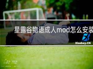 星露谷物语成人mod怎么安装