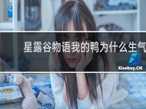 星露谷物语我的鸭为什么生气