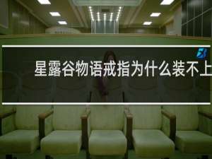 星露谷物语戒指为什么装不上