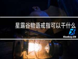 星露谷物语戒指可以干什么