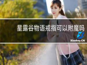 星露谷物语戒指可以附魔吗