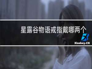 星露谷物语戒指戴哪两个