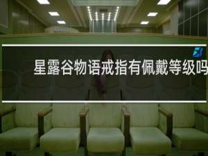 星露谷物语戒指有佩戴等级吗