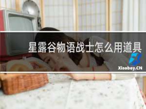 星露谷物语战士怎么用道具