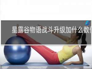 星露谷物语战斗升级加什么数值