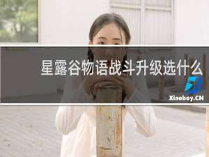 星露谷物语战斗升级选什么