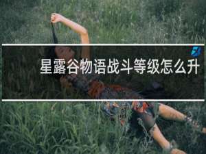 星露谷物语战斗等级怎么升