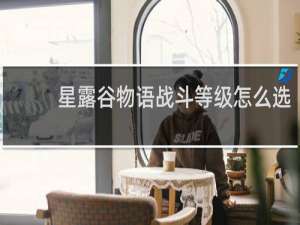 星露谷物语战斗等级怎么选