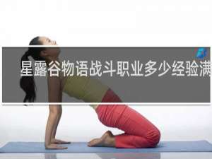 星露谷物语战斗职业多少经验满级