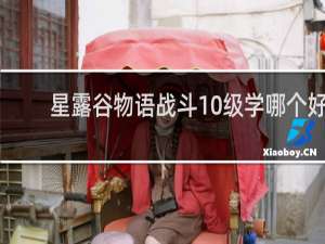 星露谷物语战斗10级学哪个好