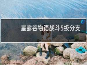 星露谷物语战斗5级分支