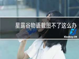 星露谷物语截图不了这么办