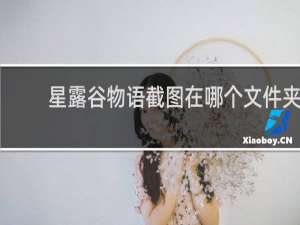 星露谷物语截图在哪个文件夹